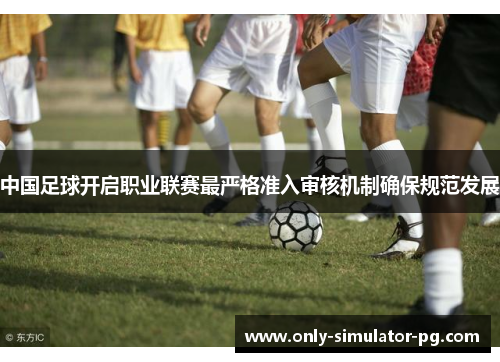 中国足球开启职业联赛最严格准入审核机制确保规范发展 中国足球开启职业联赛最严格准入审核机制确保规范发展