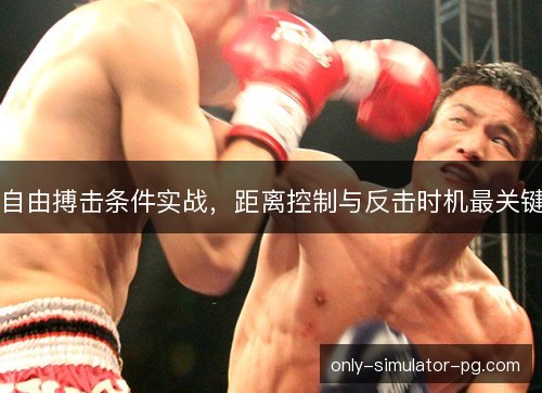 自由搏击条件实战，距离控制与反击时机最关键